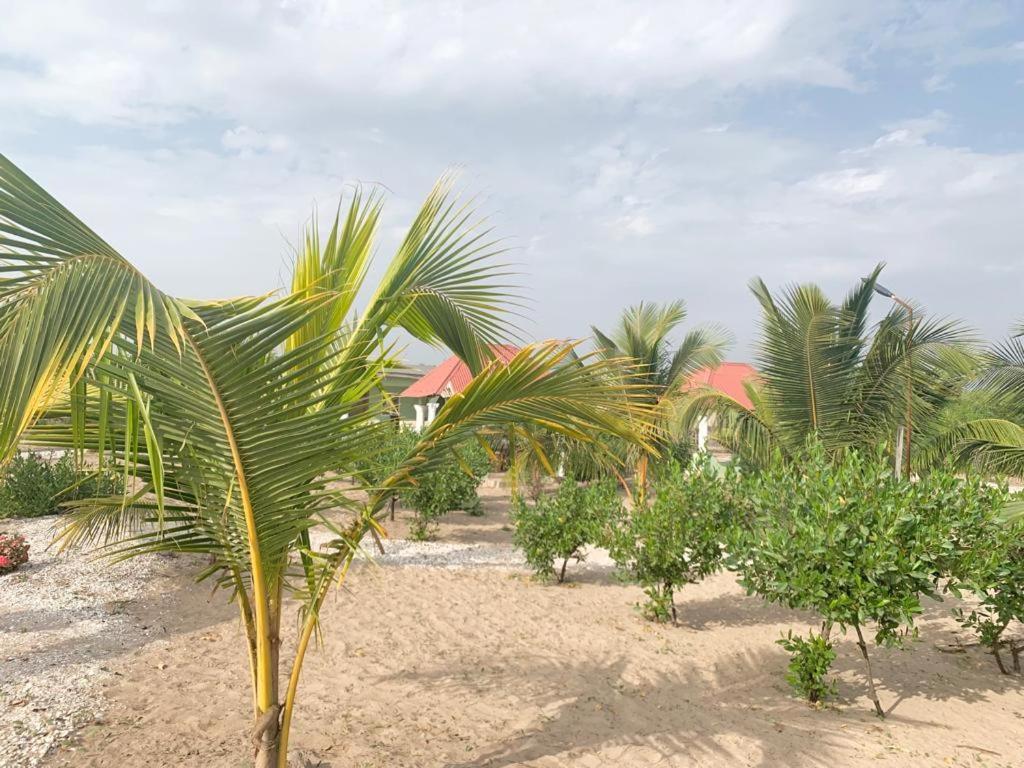 Bosofet Beach And Creek Lodge Sanyang المظهر الخارجي الصورة