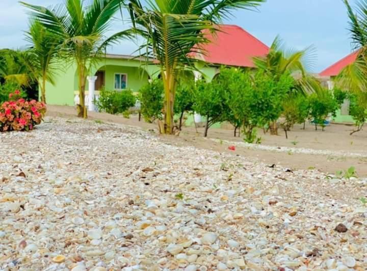 Bosofet Beach And Creek Lodge Sanyang المظهر الخارجي الصورة