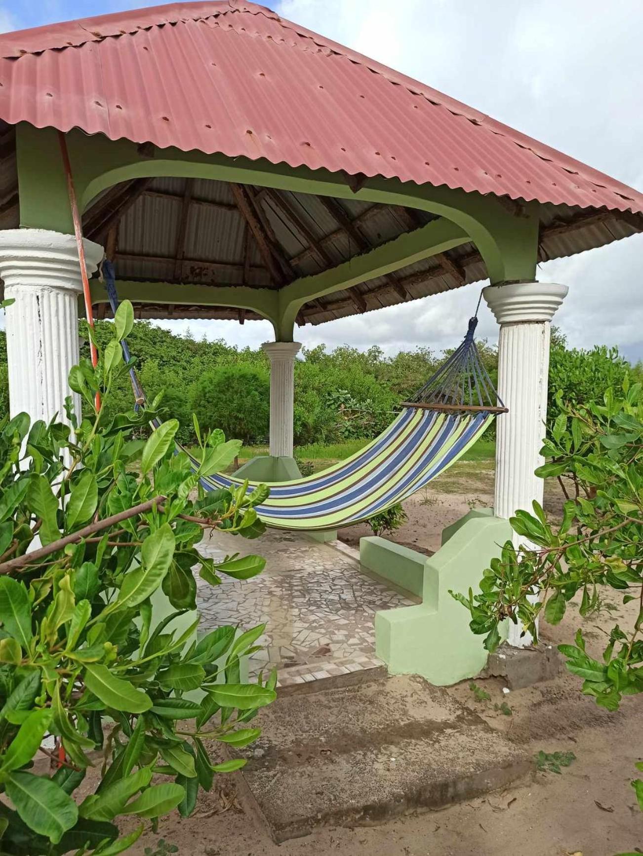 Bosofet Beach And Creek Lodge Sanyang المظهر الخارجي الصورة
